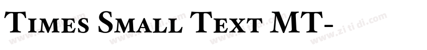 Times Small Text MT字体转换